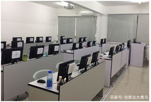 合肥計(jì)算機(jī)編程培訓(xùn)新選擇 北大青鳥(niǎo)協(xié)同學(xué)院深度解析